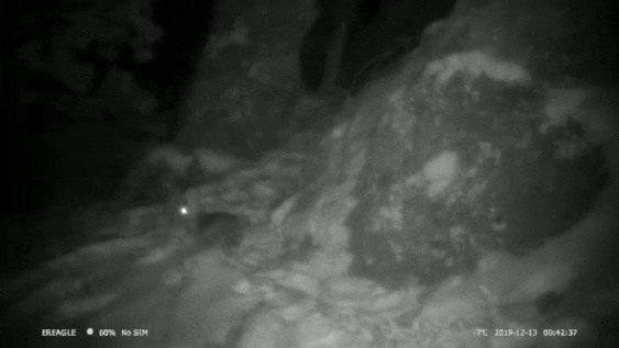Exploring Infrared Radiation