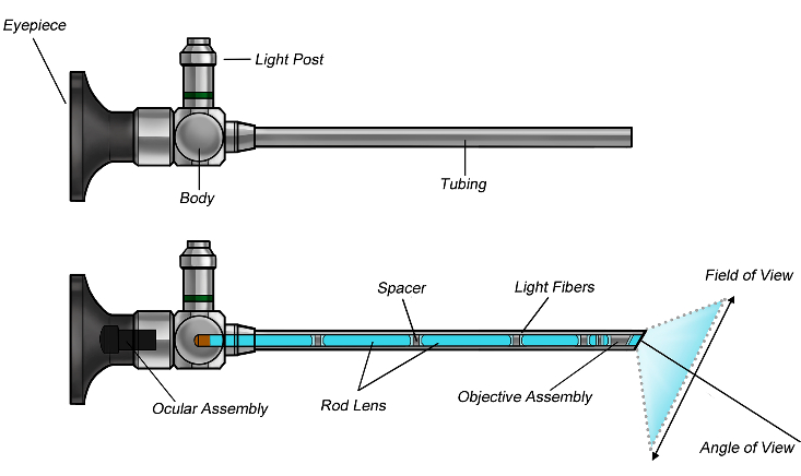 endoscope.png
