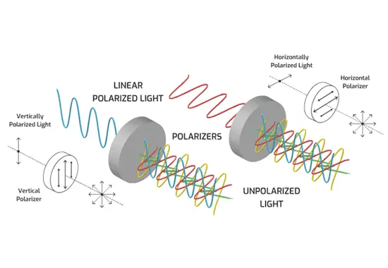 Bena Optics’ Expertise in Polarization