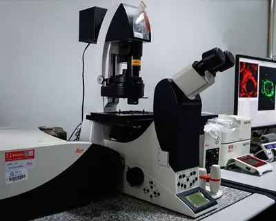 Confocal